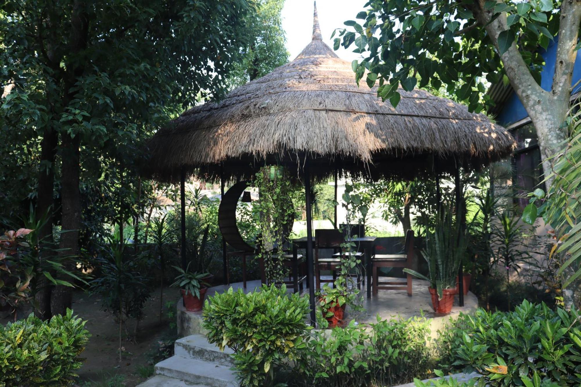 Eco Adventure Resort Sauraha Buitenkant foto