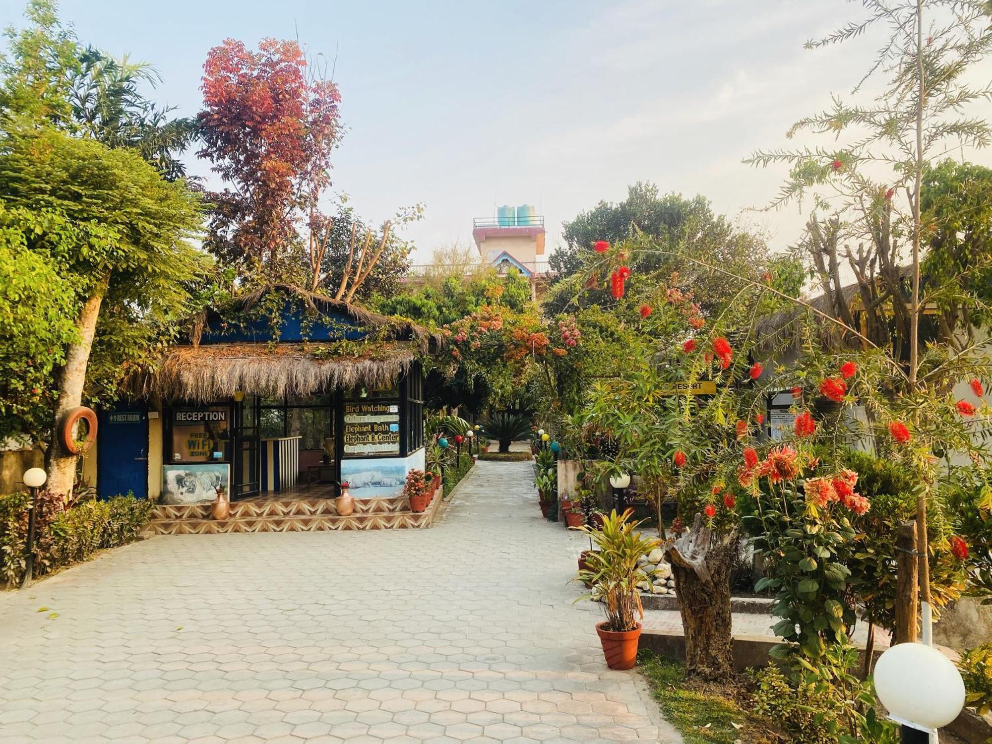 Eco Adventure Resort Sauraha Buitenkant foto