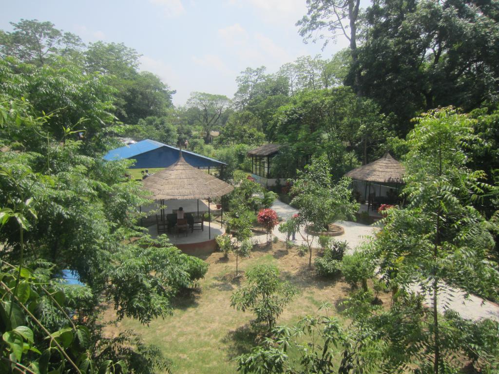 Eco Adventure Resort Sauraha Buitenkant foto