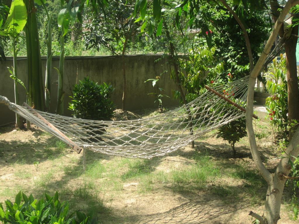 Eco Adventure Resort Sauraha Buitenkant foto