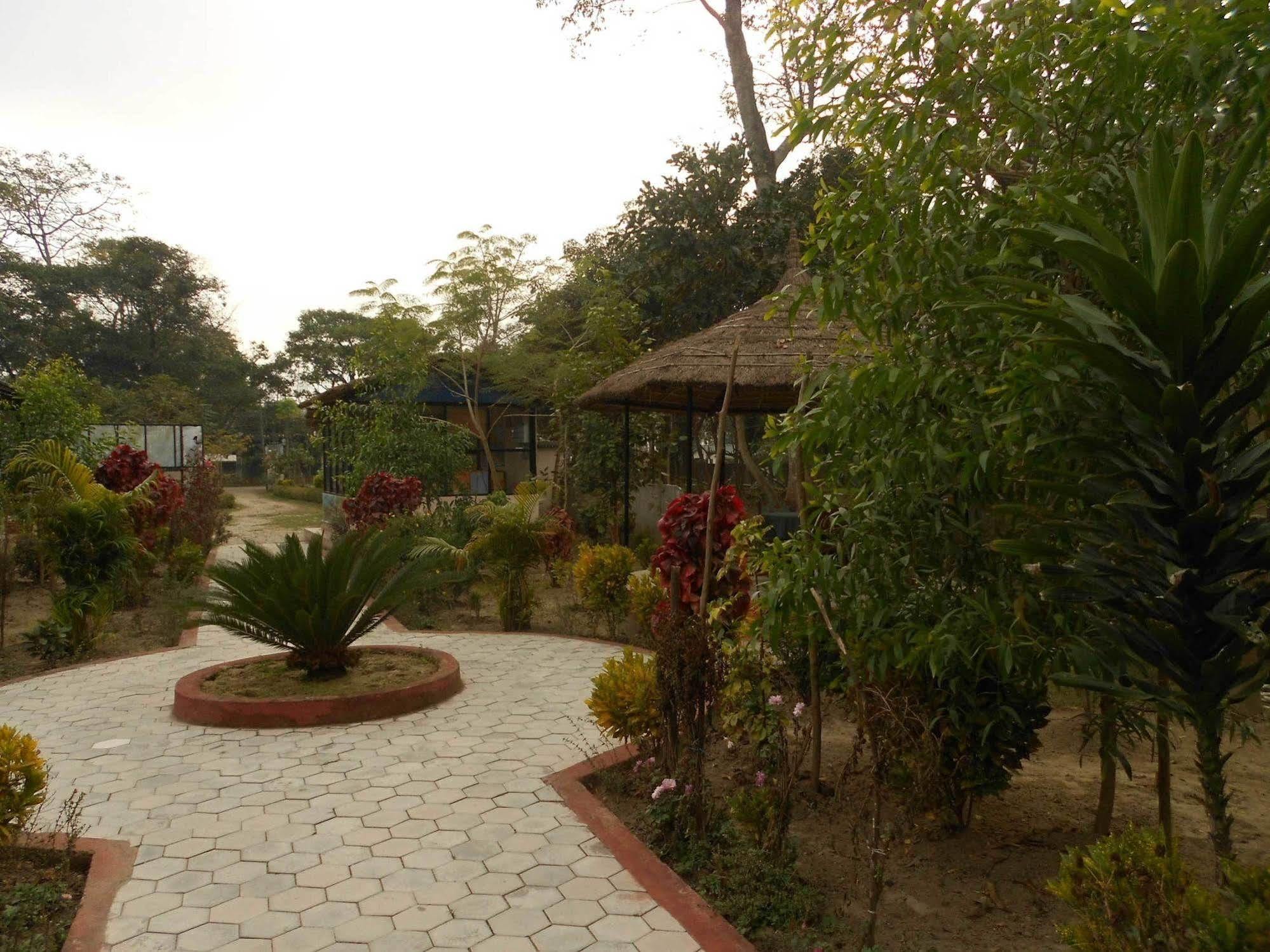 Eco Adventure Resort Sauraha Buitenkant foto