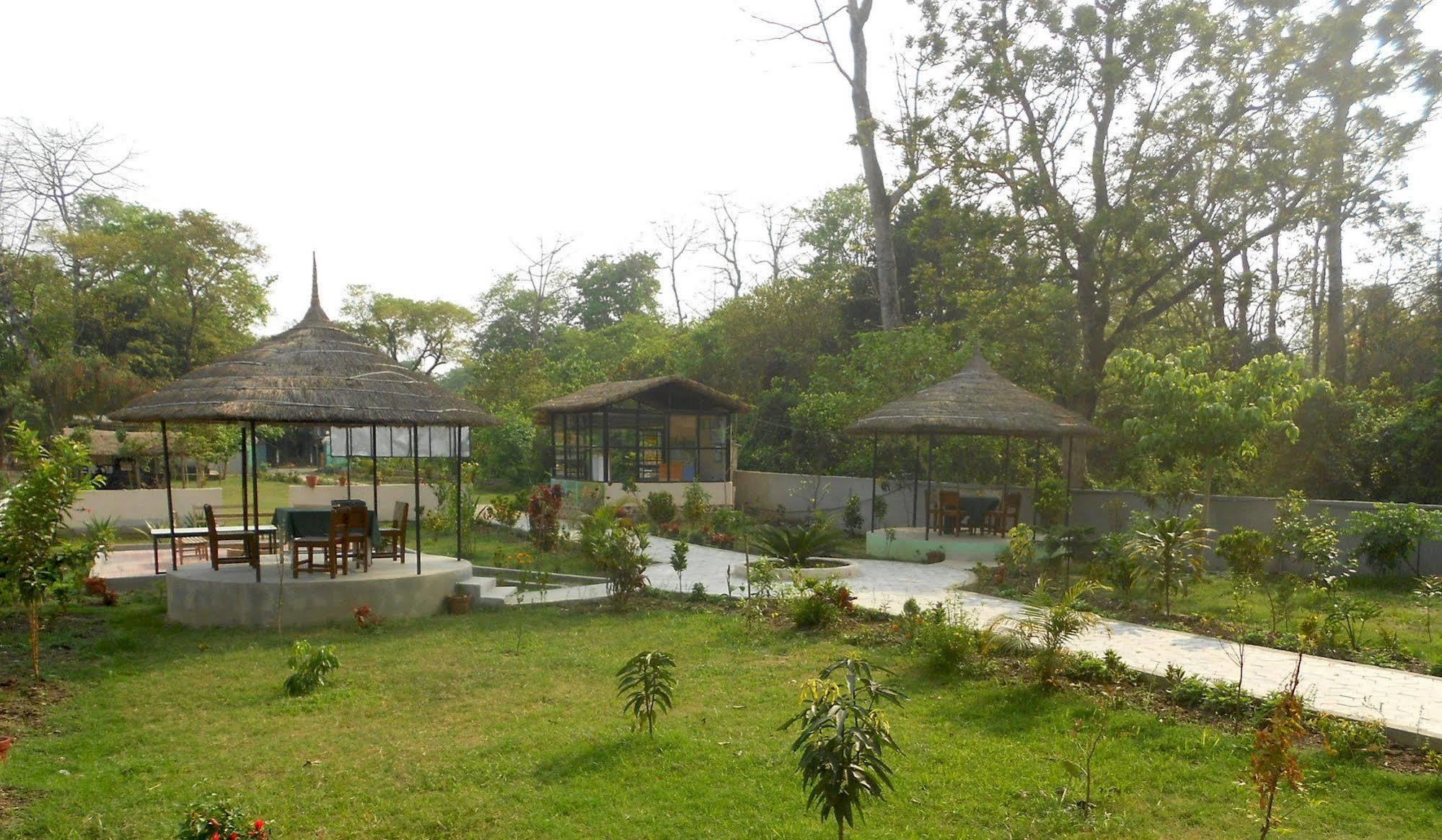 Eco Adventure Resort Sauraha Buitenkant foto